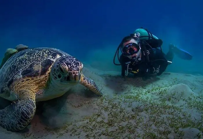 Red Sea 3*